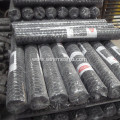 1'' Galvanized Hexagonal Chicken Wire Mesh